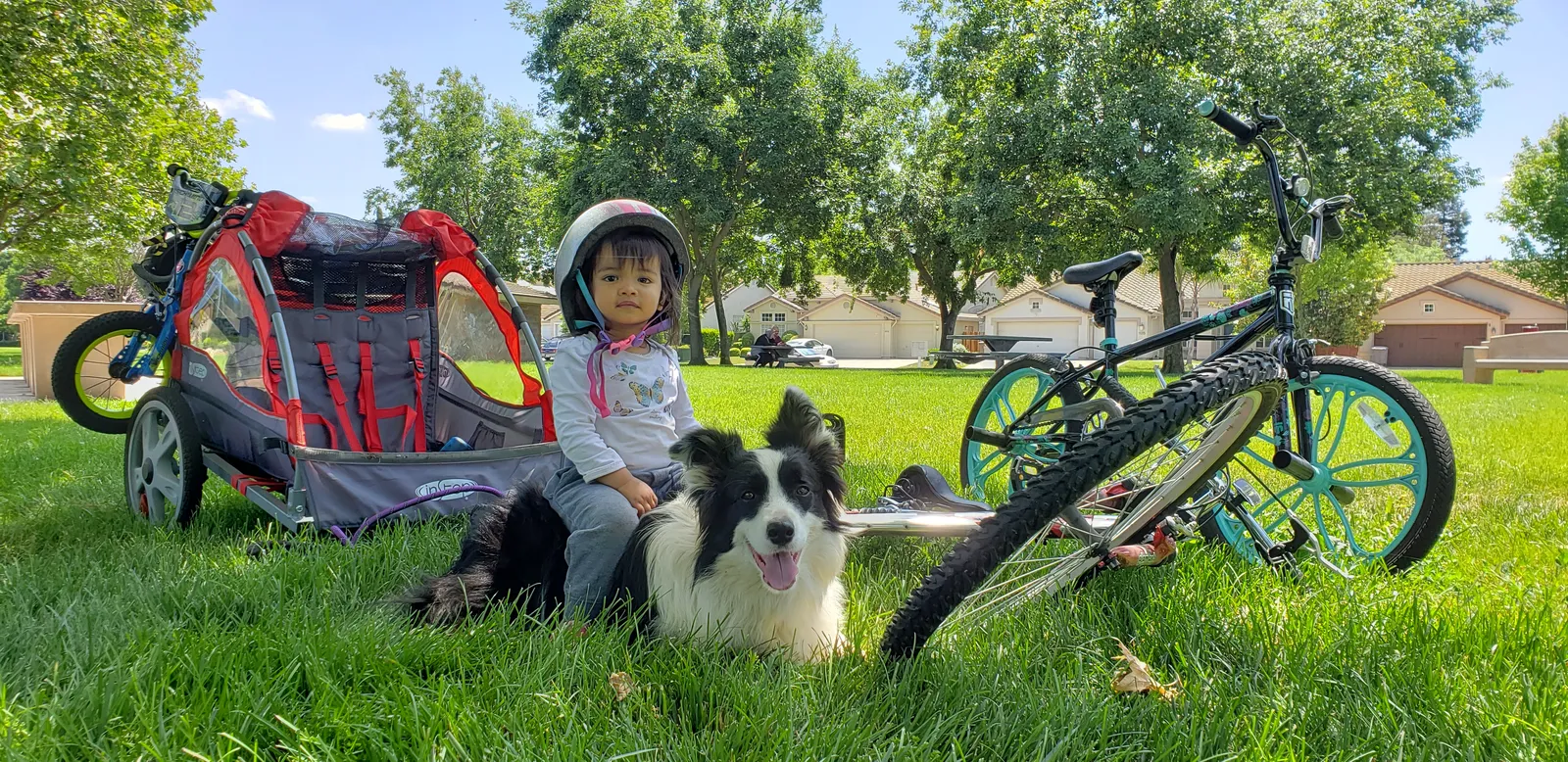 Two kids sitting on grass beside a bike and trailer with a dog, spring 2020