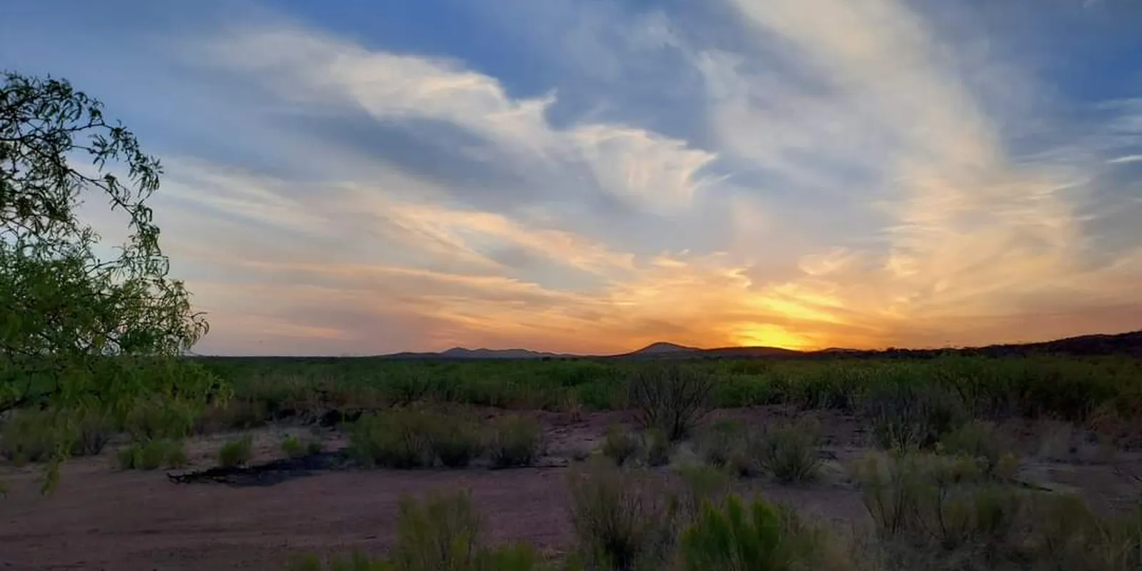 Blue sky and sunset glow over a green valley in southern Arizona