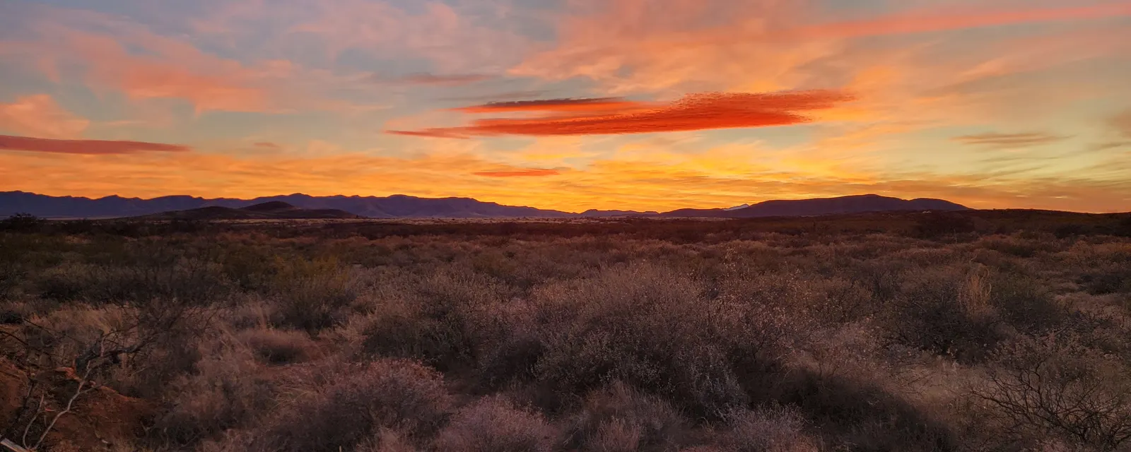 Orange cloud sunset over open desert grassland in Arizona