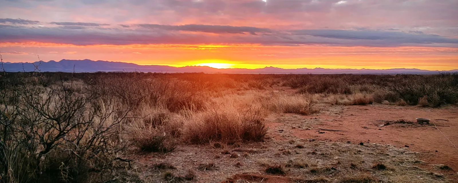 Orange sunset over desert scrub and distant mountains near Tombstone, Arizona