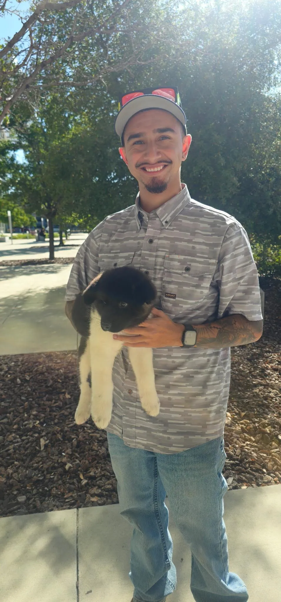 Jaden's Nala, a Akita puppy from WeVolution Off-Grid near Tombstone, Arizona, shared by Jaden in Sept. 2026