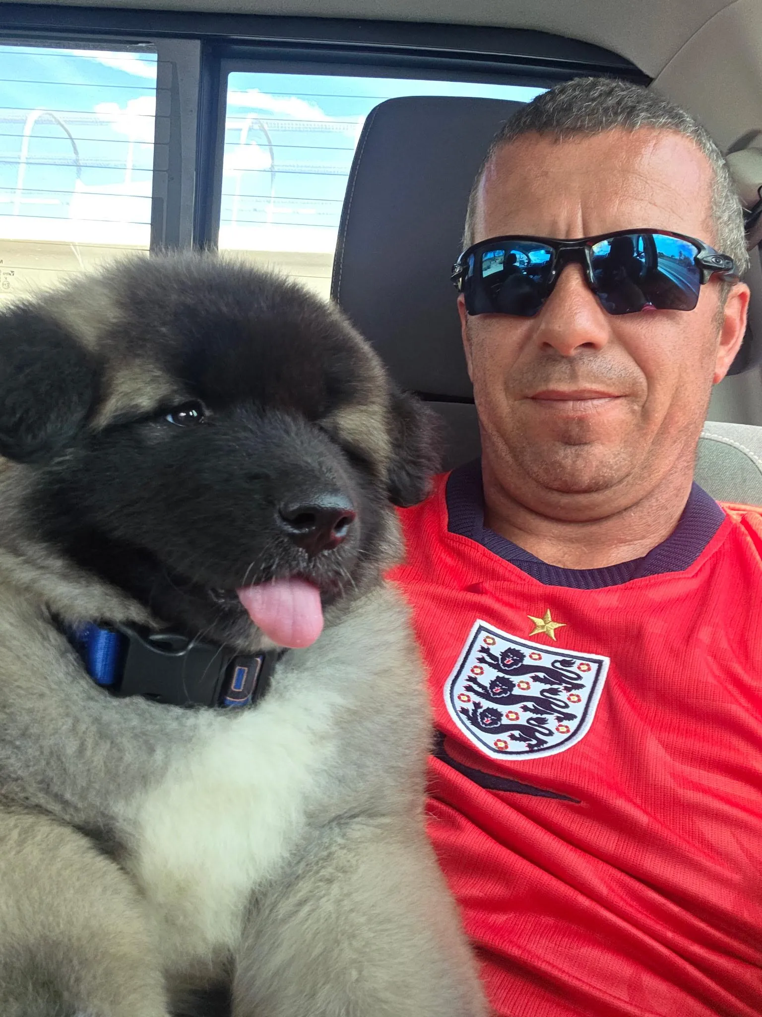 Lisa's a puppy from WeVolution Off-Grid near Tombstone, Arizona, shared by Lisa in Aug. 2026