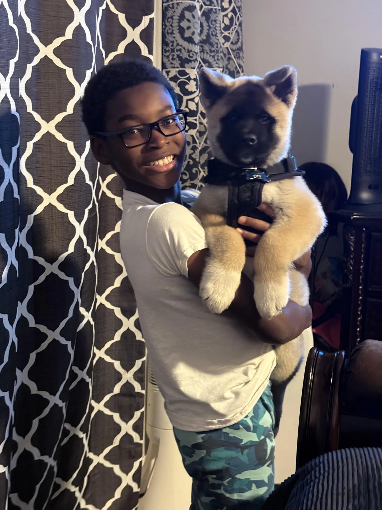 Tommie's Jett, a Akita puppy from WeVolution Off-Grid near Tombstone, Arizona, shared by Tommie in Feb. 2026