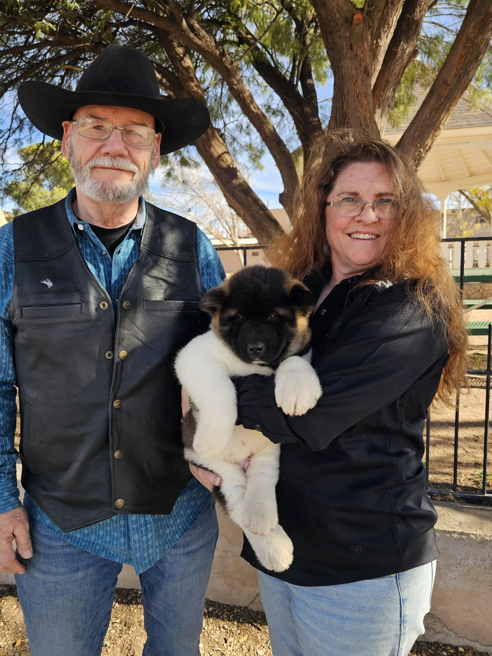 Kaito, a Akita puppy from WeVolution Off-Grid near Tombstone, Arizona, now in a new home