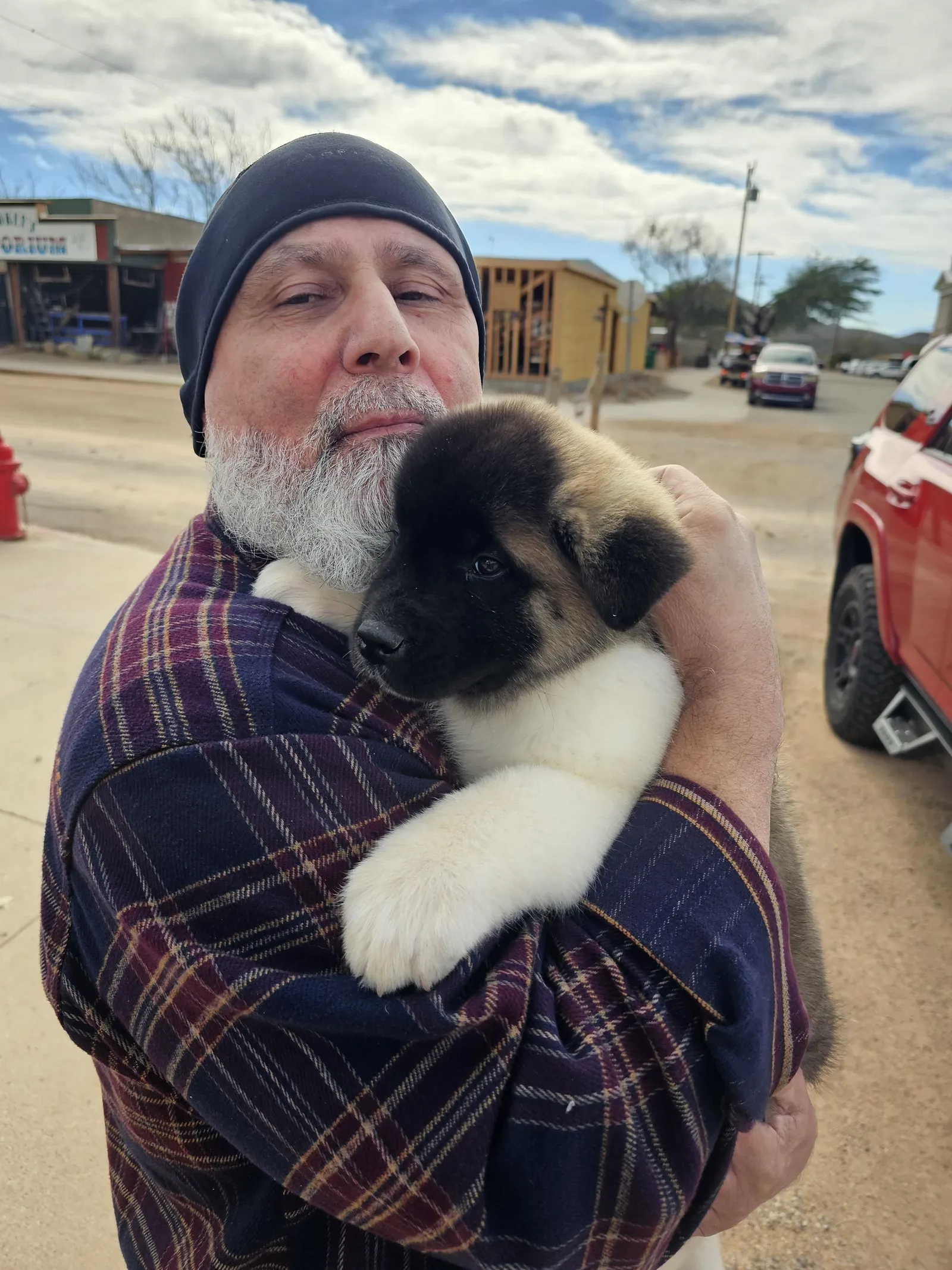 Male Hiro, a Akita puppy from WeVolution Off-Grid near Tombstone, Arizona, now in a new home