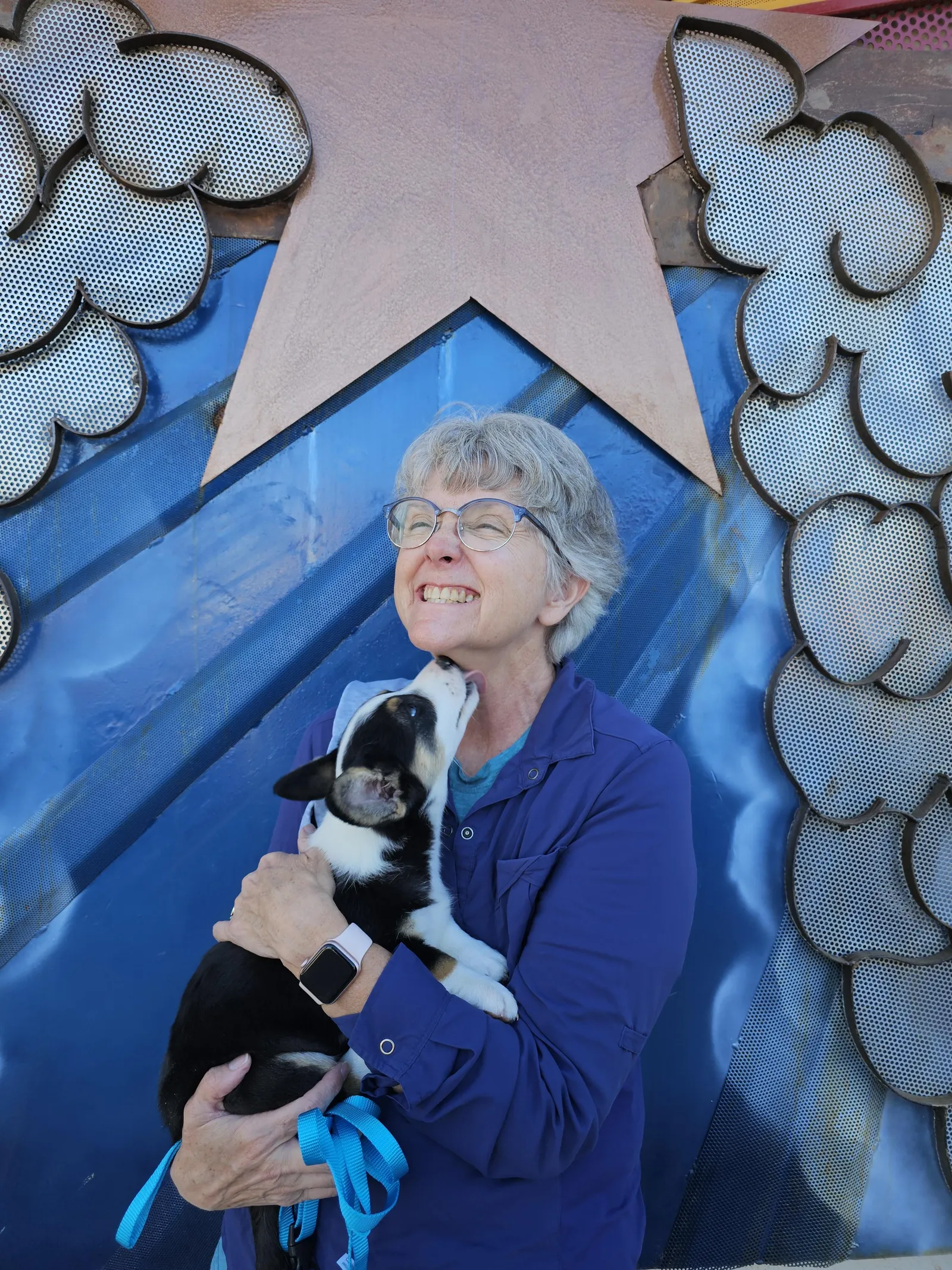 Quad Clear Tri Colored - Boy 2, a Cardigan Welsh Corgi puppy from WeVolution Off-Grid near Tombstone, Arizona, now in a new home