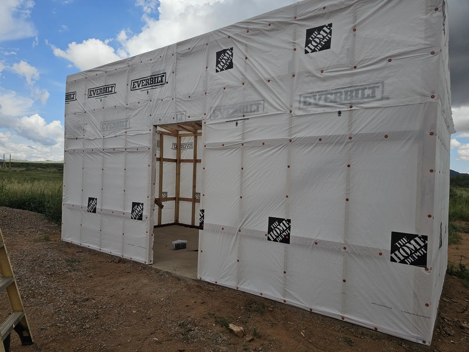 Shed walls wrapped in white house wrap with a door opening framed in wood